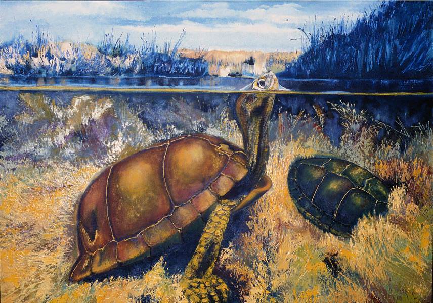 Su Kaplumbağası - 66x80, , Tuvale Yağlıboya